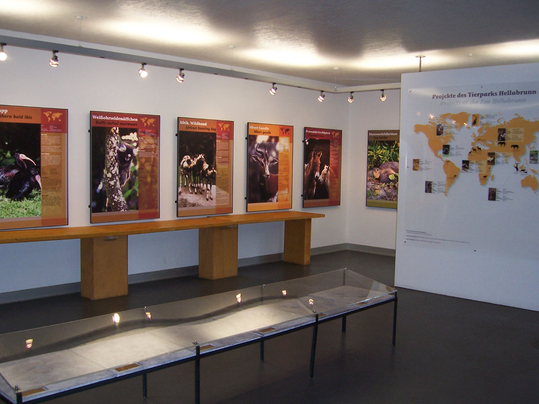 Die Ausstellung informiert über Auswilderungsprojekte des Tierparks.