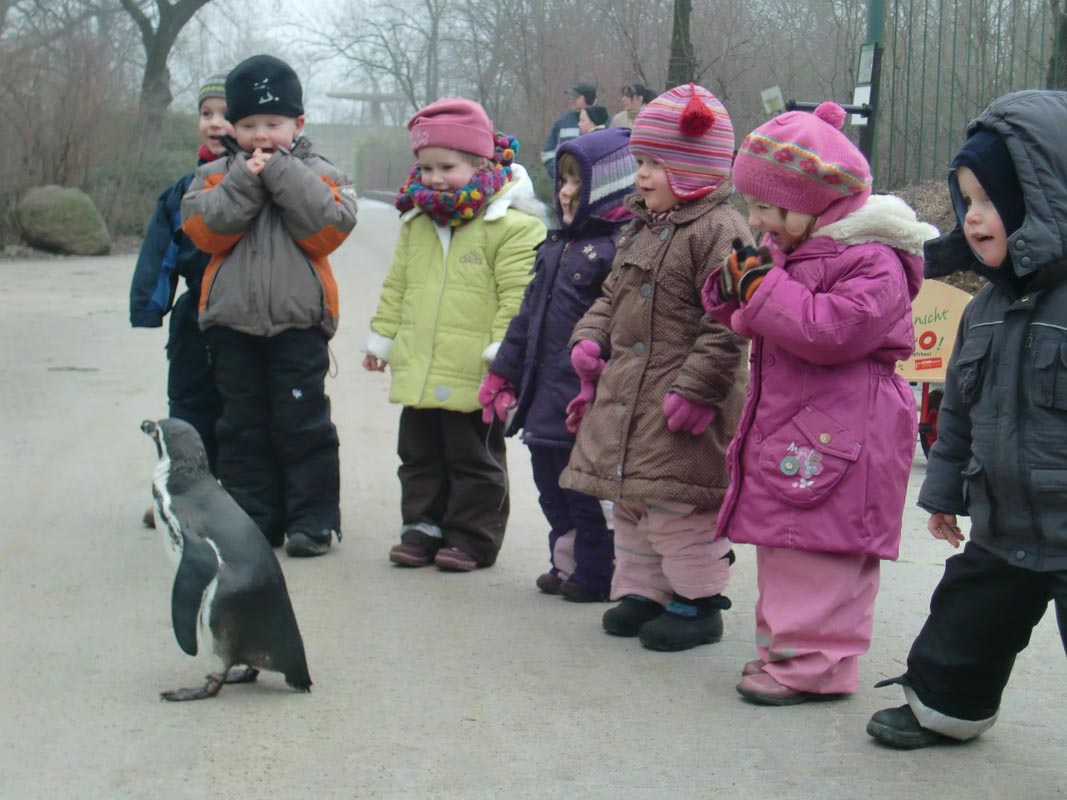 Die Kinder lernen im Zoo verschiedene Tiere kennen.